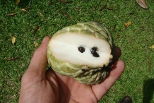 Cut-Sugar-Apple