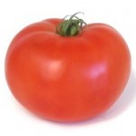 Globe Tomato