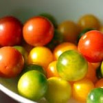  Japanese Tomato 